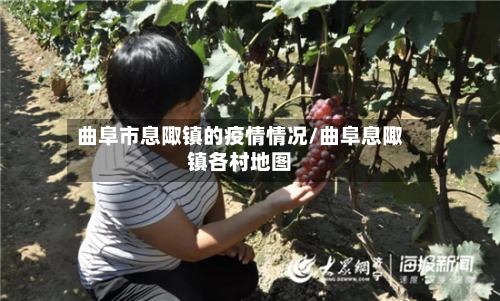 曲阜市息陬镇的疫情情况/曲阜息陬镇各村地图-第2张图片