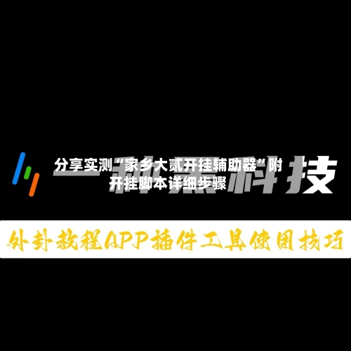 分享实测“家乡大贰开挂辅助器”附开挂脚本详细步骤-第3张图片