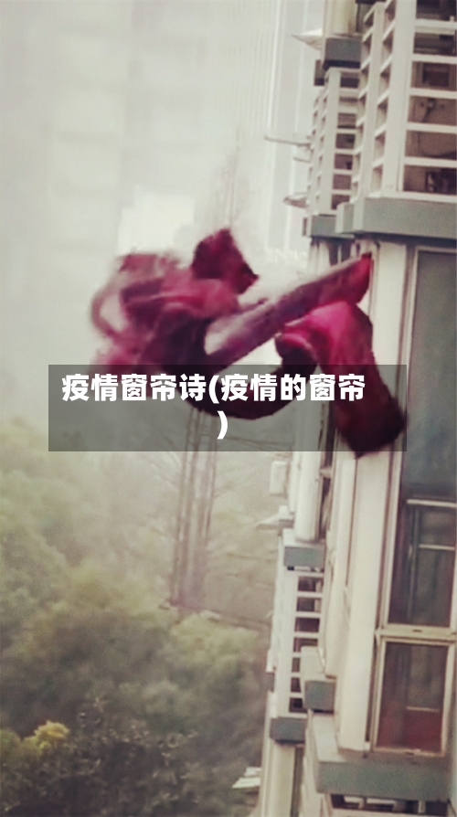 疫情窗帘诗(疫情的窗帘)