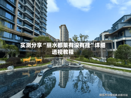 实测分享“丽水都莱有没有挂	”详细透视教程-第2张图片