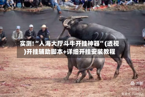 实测!“人海大厅斗牛开挂神器	”(透视)开挂辅助脚本+详细开挂安装教程-第2张图片