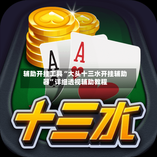 辅助开挂工具“大头十三水开挂辅助器	”详细透视辅助教程-第2张图片