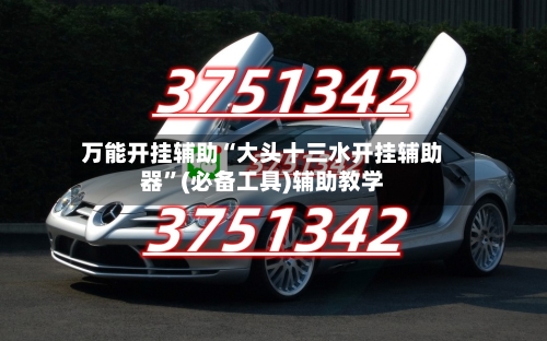 万能开挂辅助“大头十三水开挂辅助器”(必备工具)辅助教学-第2张图片