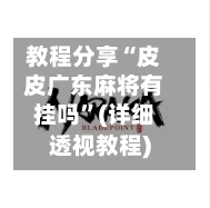 教程分享“皮皮广东麻将有挂吗”(详细透视教程)-第2张图片