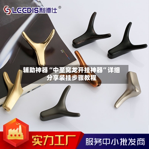 辅助神器“中至窝龙开挂神器”详细分享装挂步骤教程