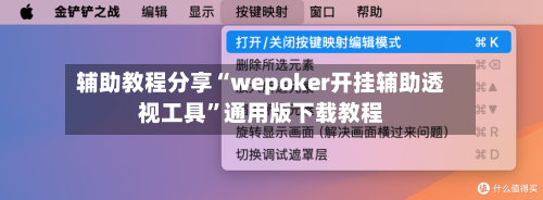 辅助教程分享“wepoker开挂辅助透视工具”通用版下载教程-第2张图片