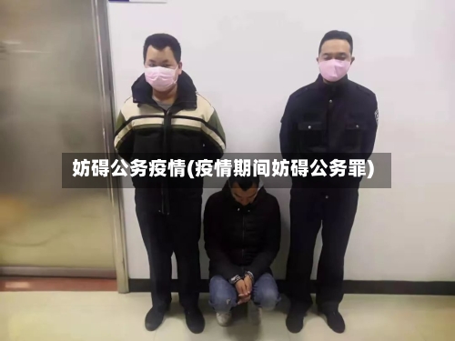 妨碍公务疫情(疫情期间妨碍公务罪)-第3张图片