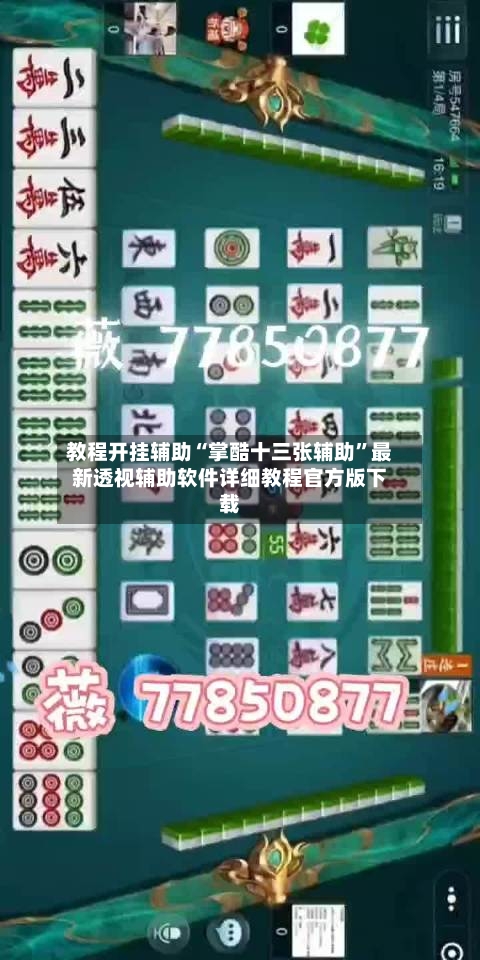 教程开挂辅助“掌酷十三张辅助”最新透视辅助软件详细教程官方版下载-第2张图片