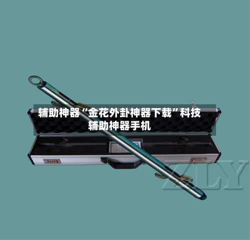 辅助神器“金花外卦神器下载”科技辅助神器手机