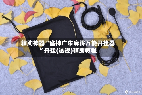 辅助神器“雀神广东麻将万能开挂器	”开挂(透视)辅助教程-第3张图片