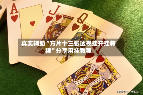 真实辅助“方片十三张透视挂开挂教程”分享用挂教程-第2张图片