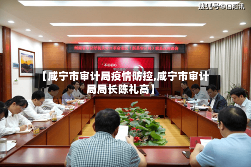 【咸宁市审计局疫情防控,咸宁市审计局局长陈礼高】