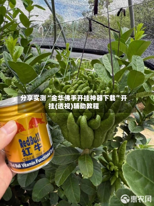 分享实测“金华佛手开挂神器下载”开挂(透视)辅助教程