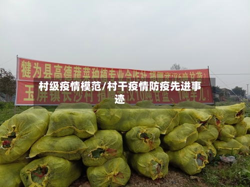 村级疫情模范/村干疫情防疫先进事迹