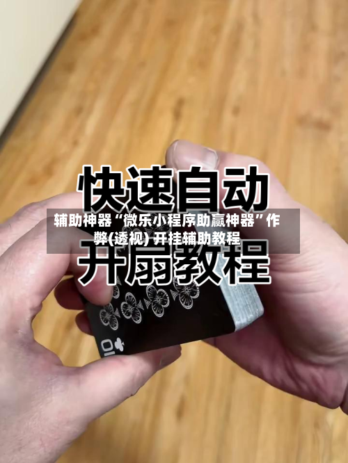 辅助神器“微乐小程序助赢神器”作弊(透视) 开挂辅助教程-第3张图片
