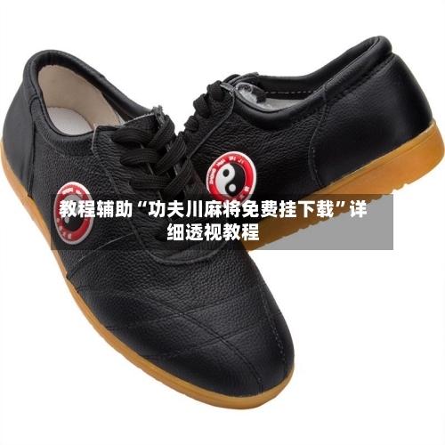 教程辅助“功夫川麻将免费挂下载”详细透视教程-第3张图片