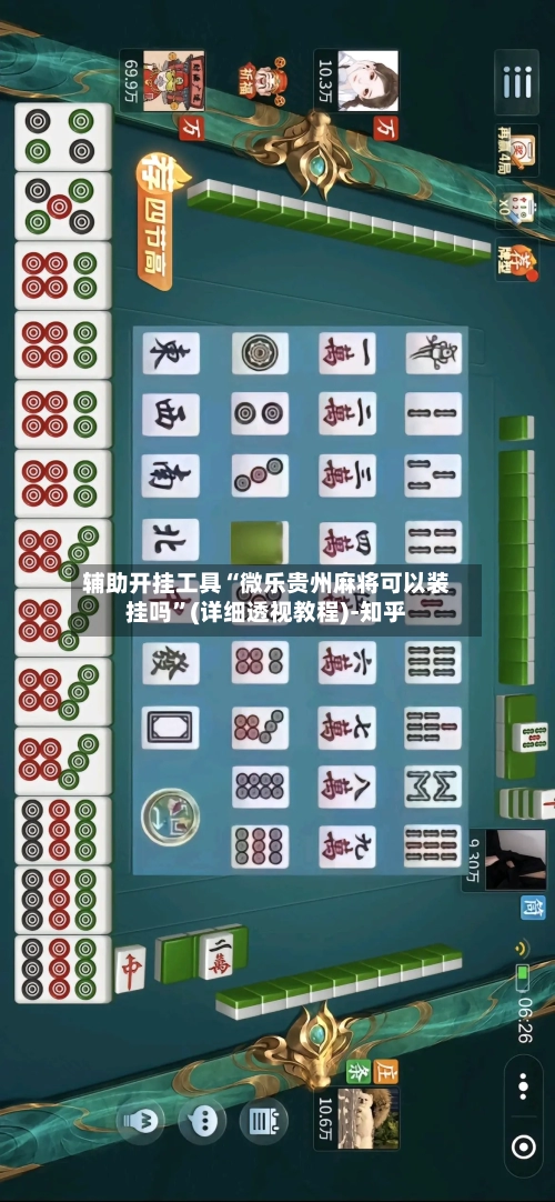 辅助开挂工具“微乐贵州麻将可以装挂吗”(详细透视教程)-知乎-第3张图片