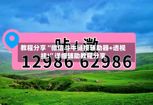 教程分享“微信斗牛链接辅助器+透视挂!”详细辅助教程分享-第3张图片