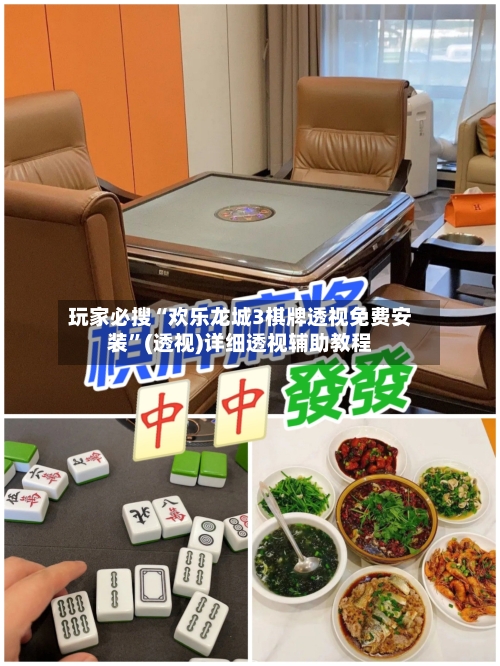 玩家必搜“欢乐龙城3棋牌透视免费安装”(透视)详细透视辅助教程-第3张图片