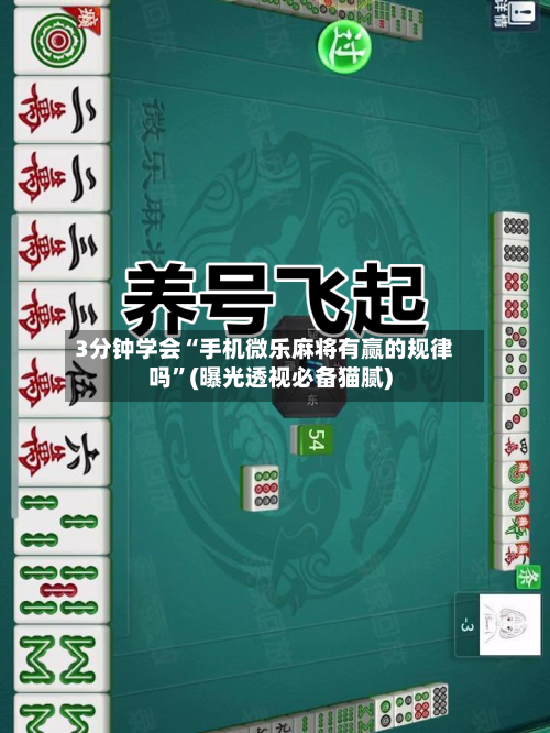 3分钟学会“手机微乐麻将有赢的规律吗”(曝光透视必备猫腻)