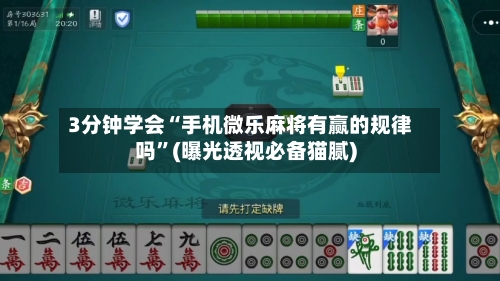 3分钟学会“手机微乐麻将有赢的规律吗”(曝光透视必备猫腻)-第2张图片