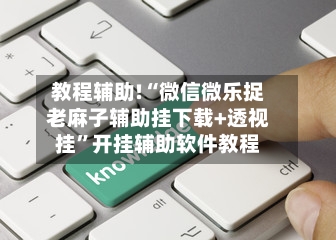 教程辅助!“微信微乐捉老麻子辅助挂下载+透视挂”开挂辅助软件教程-第2张图片