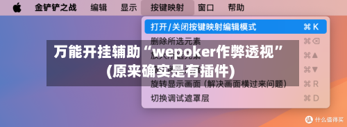 万能开挂辅助“wepoker作弊透视	”(原来确实是有插件)-第2张图片