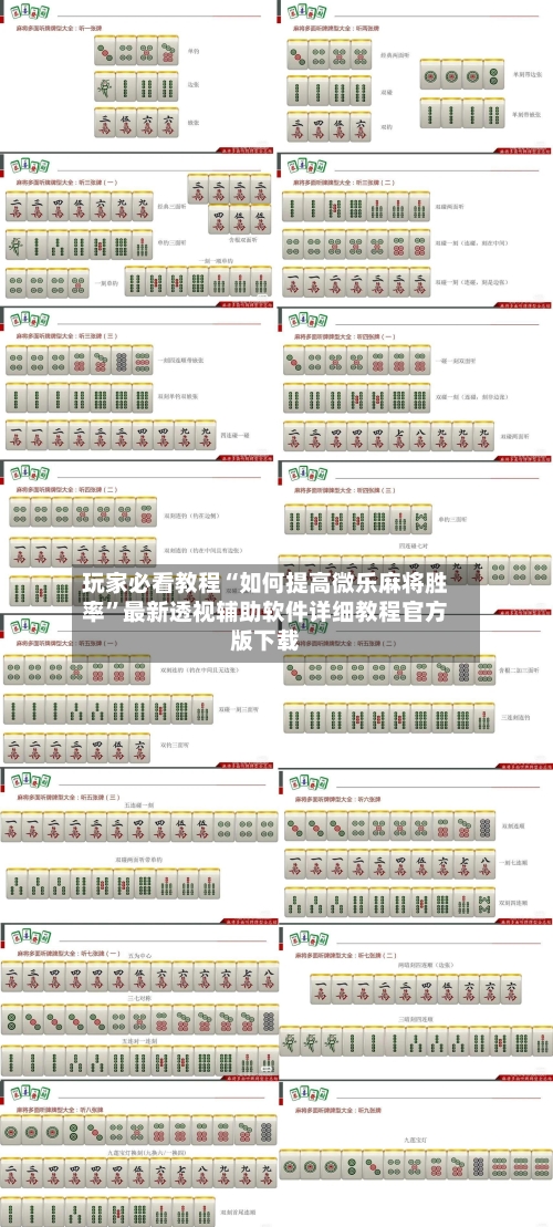 玩家必看教程“如何提高微乐麻将胜率”最新透视辅助软件详细教程官方版下载-第3张图片