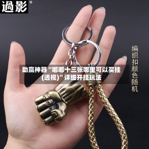 助赢神器“嘟嘟十三张哪里可以买挂(透视)”详细开挂玩法-第2张图片