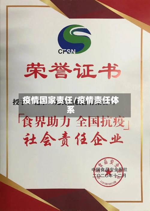 疫情国家责任/疫情责任体系