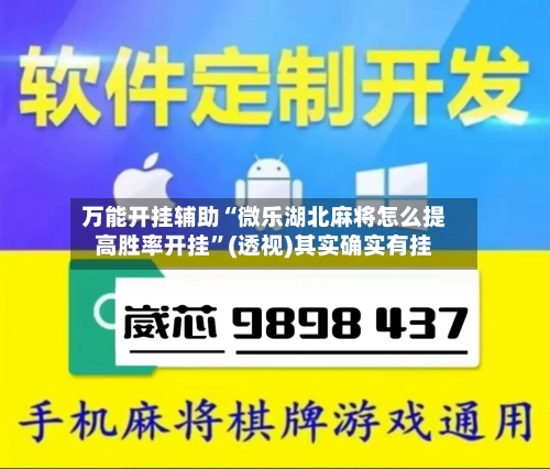 万能开挂辅助“微乐湖北麻将怎么提高胜率开挂”(透视)其实确实有挂-第2张图片