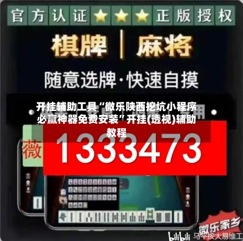 开挂辅助工具“微乐陕西挖坑小程序必赢神器免费安装	”开挂(透视)辅助教程-第2张图片