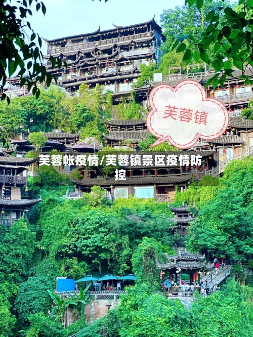 芙蓉帐疫情/芙蓉镇景区疫情防控-第2张图片