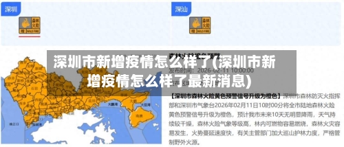 深圳市新增疫情怎么样了(深圳市新增疫情怎么样了最新消息)-第3张图片
