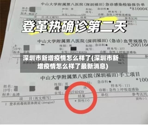 深圳市新增疫情怎么样了(深圳市新增疫情怎么样了最新消息)-第2张图片