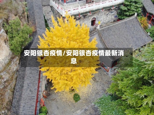 安阳银杏疫情/安阳银杏疫情最新消息