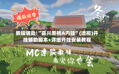 教程辅助!“嘉兴黑桃A内挂	”(透视)开挂辅助脚本+详细开挂安装教程-第3张图片