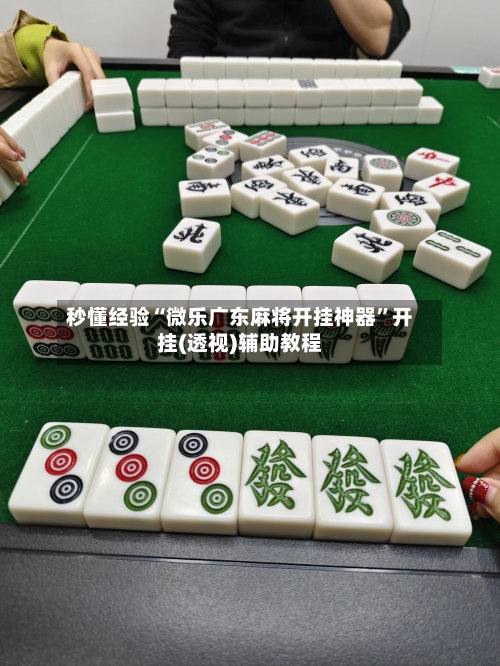 秒懂经验“微乐广东麻将开挂神器	”开挂(透视)辅助教程-第2张图片