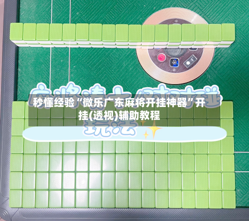 秒懂经验“微乐广东麻将开挂神器”开挂(透视)辅助教程-第3张图片