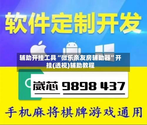 辅助开挂工具“微乐亲友房辅助器”开挂(透视)辅助教程-第3张图片