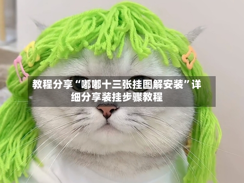 教程分享“嘟嘟十三张挂图解安装”详细分享装挂步骤教程