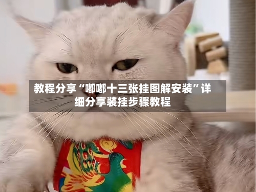 教程分享“嘟嘟十三张挂图解安装	”详细分享装挂步骤教程-第2张图片