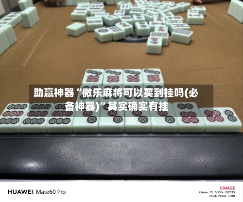 助赢神器“微乐麻将可以买到挂吗(必备神器)”其实确实有挂-第2张图片