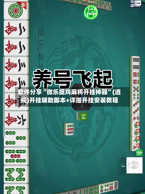 软件分享“微乐捉鸡麻将开挂神器	”(透视)开挂辅助脚本+详细开挂安装教程-第2张图片