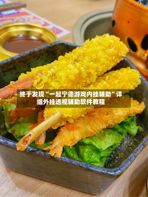 终于发现“一起宁德游戏内挂辅助”详细外挂透视辅助软件教程-第3张图片