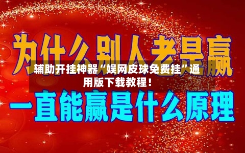 辅助开挂神器“娱网皮球免费挂”通用版下载教程！-第2张图片