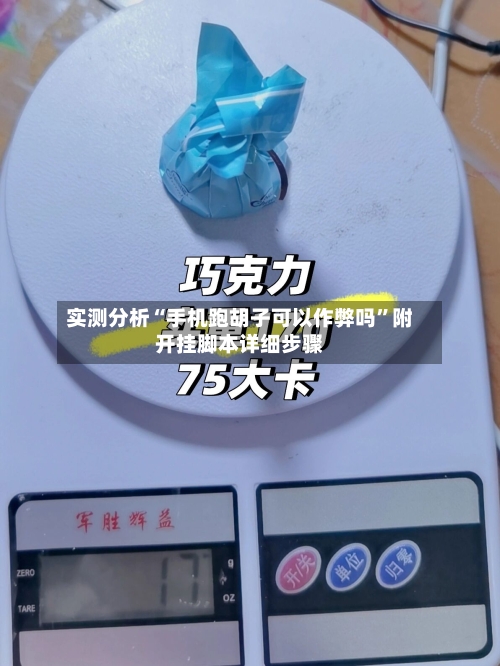 实测分析“手机跑胡子可以作弊吗”附开挂脚本详细步骤-第3张图片