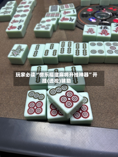 玩家必读“微乐福建麻将开挂神器	”开挂(透视)辅助-第2张图片