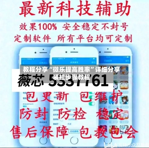 教程分享“微乐提高胜率”详细分享装挂步骤教程-第2张图片