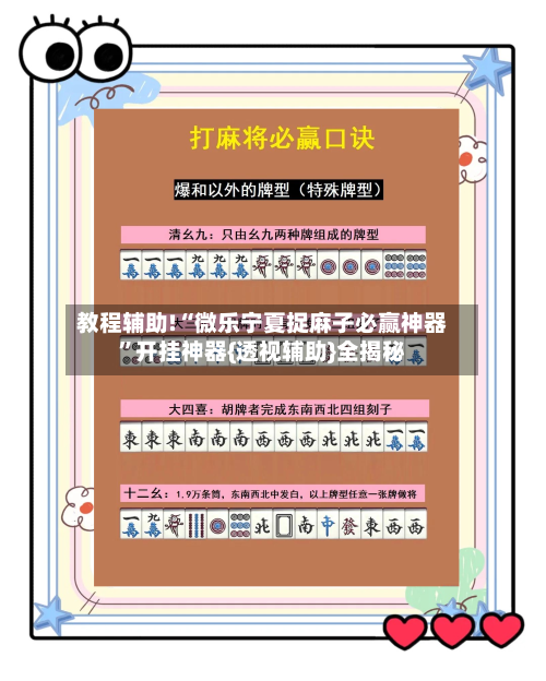 教程辅助!“微乐宁夏捉麻子必赢神器”开挂神器{透视辅助}全揭秘-第2张图片